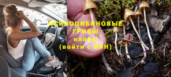тгк Бронницы