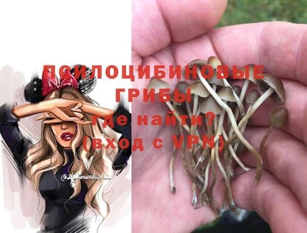 МДПВ Верея