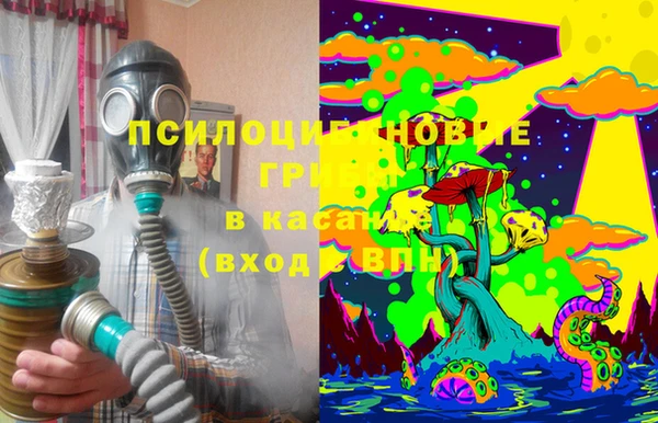гидра Волосово
