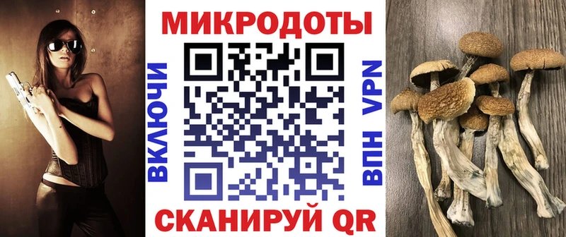 Галлюциногенные грибы GOLDEN TEACHER  гидра как зайти  Зеленодольск  где продают наркотики 